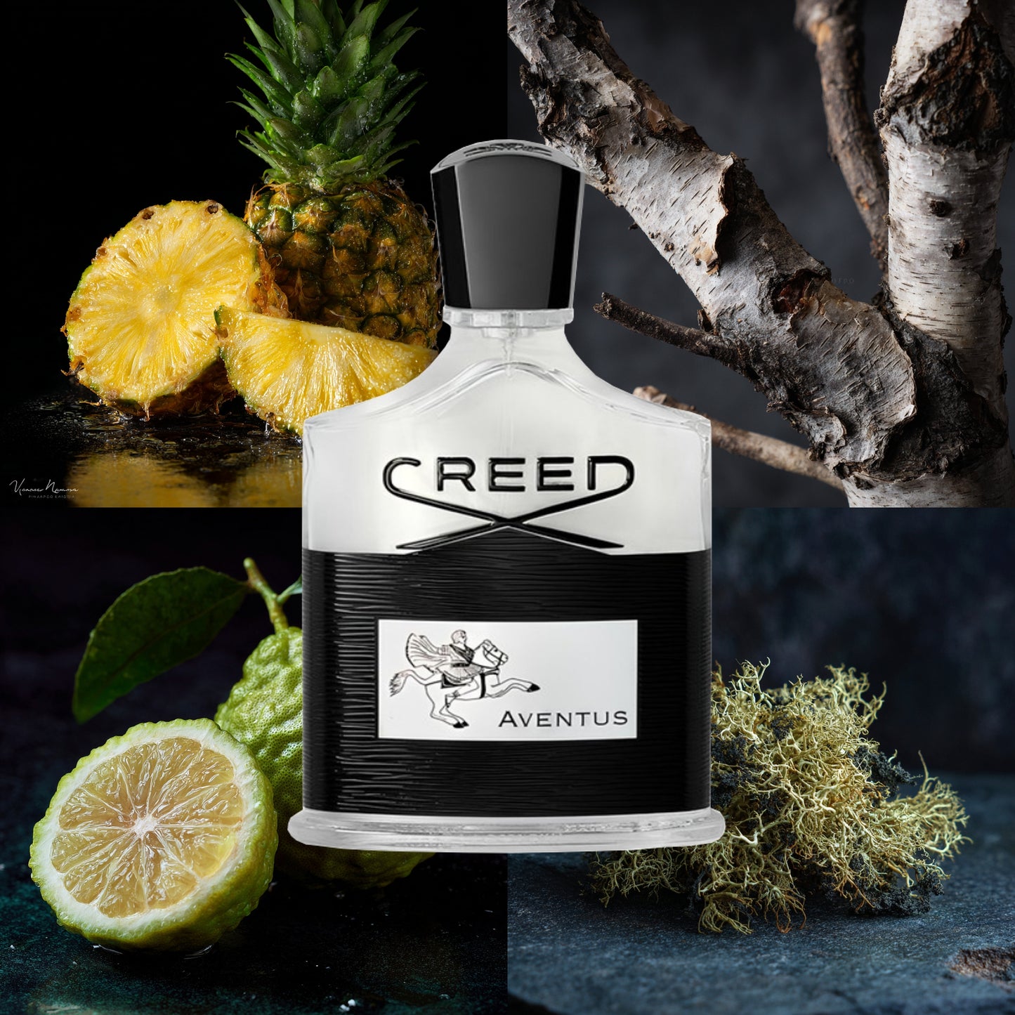 Creed - Aventus EDP